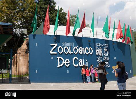 Cali Zoo