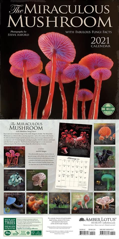 California Mushroom Calendar
