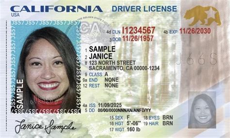 California Driver License