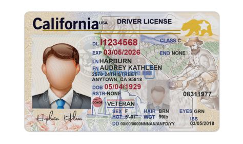 California Drivers Licence Template