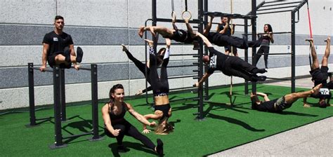 Calisthenics 2018