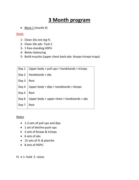 Calisthenics 3 Month Program