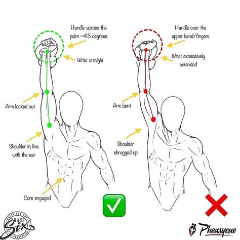 Calisthenics Anatomy