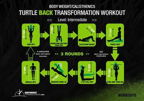 Calisthenics Back Workout