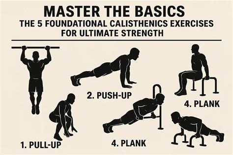 Calisthenics Basics