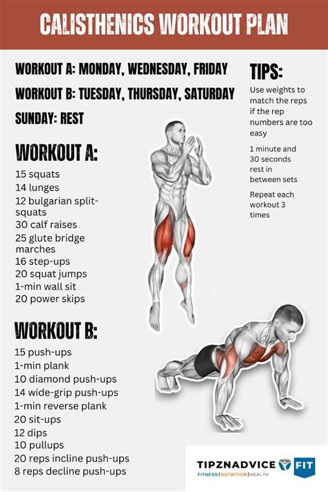 Calisthenics Beginner Workout Plan
