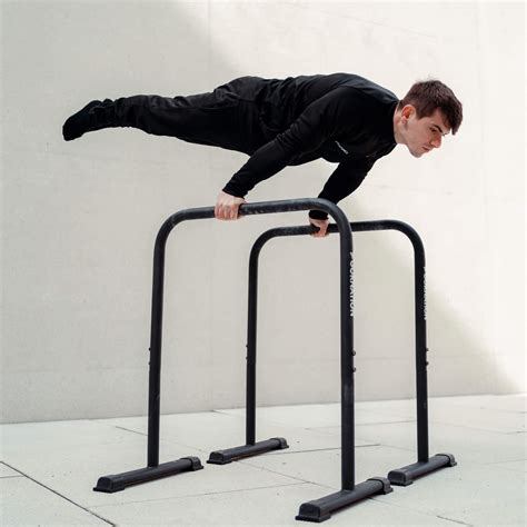 Calisthenics Dip Bars