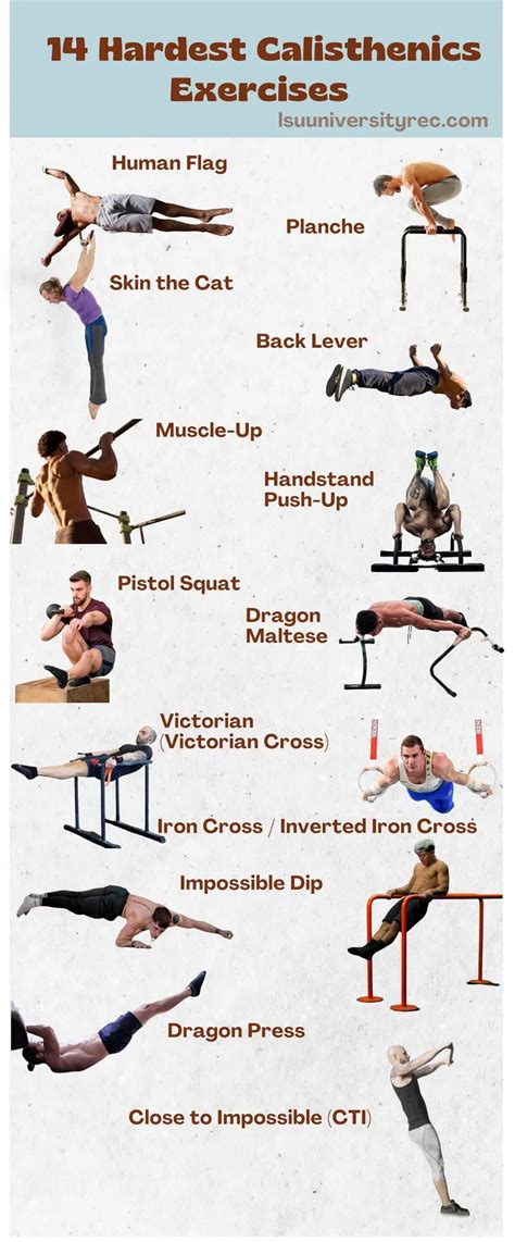 Calisthenics Exercises