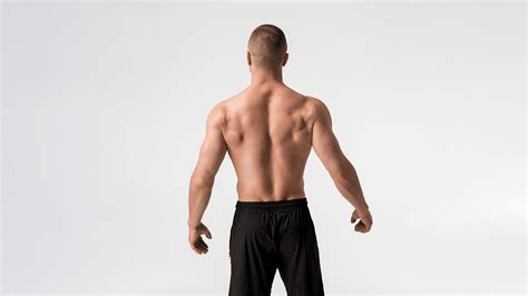 Calisthenics For Back