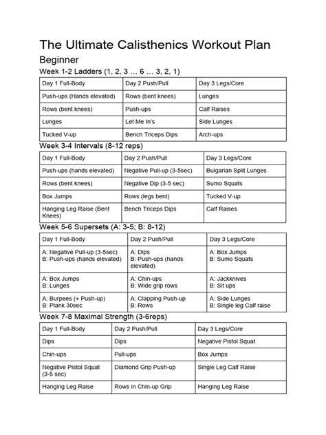 Calisthenics Kingz Workout Pdf