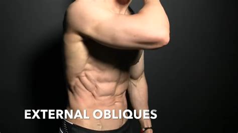Calisthenics Obliques