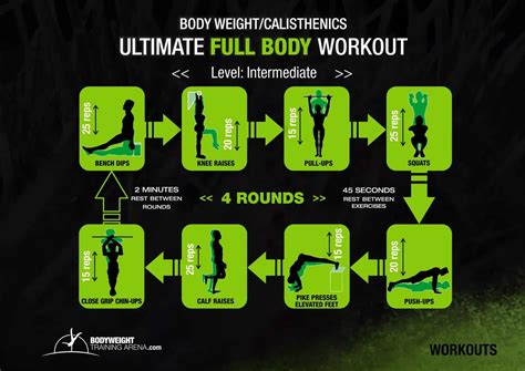 Calisthenics Programs