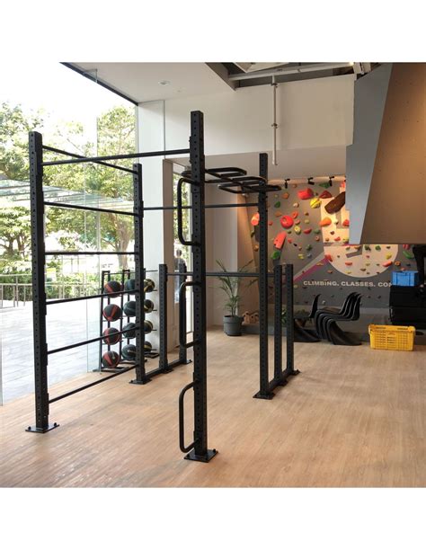 Calisthenics Rig