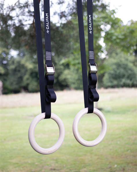 Calisthenics Rings