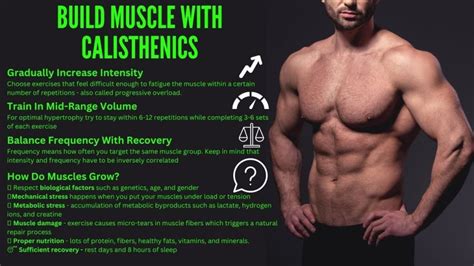 Calisthenics To Build Muscle