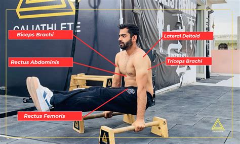 Calisthenics Training In India