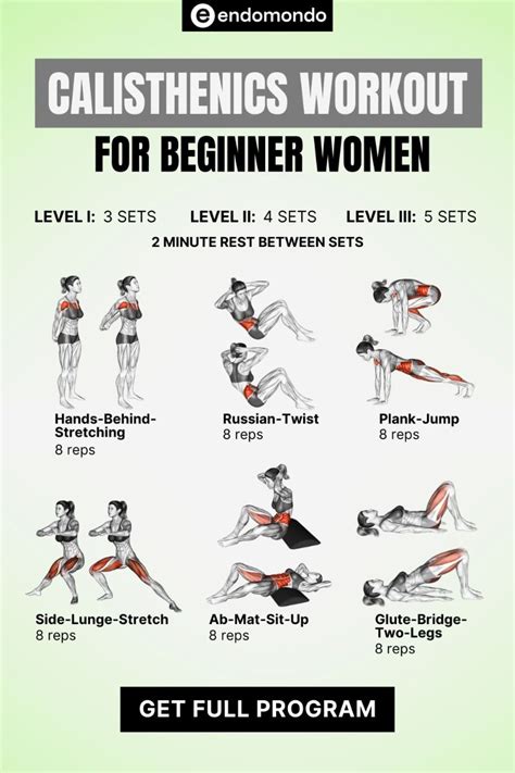 Calisthenics Workout Beginner At Home