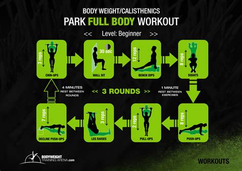 Calisthenics Workout Circuit