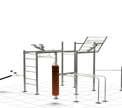 Calisthenics Workout Station
