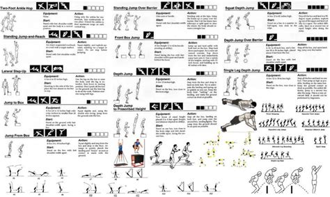 Calisthenics Workout Wiki