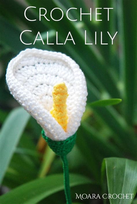Calla Lily Crochet Pattern Free