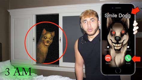 Calling Smile Dog At 3 Am