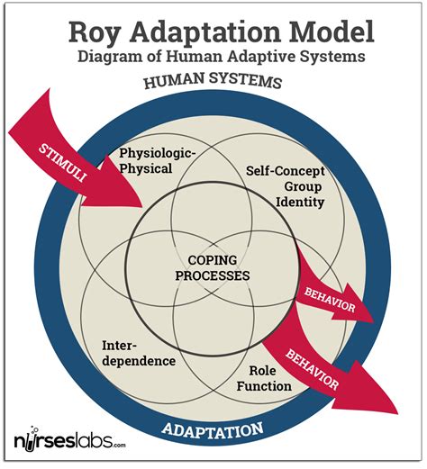 Callista Roy's Adaptation Model
