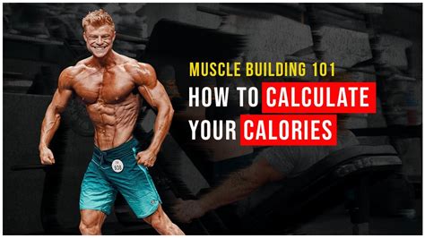 Calorie Calculator To Gain Muscle