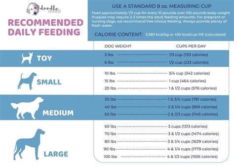 Calories and Feeding Guidelines