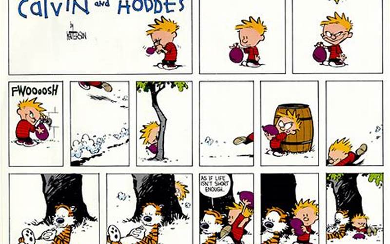 Calvin And Hobbes Appeal