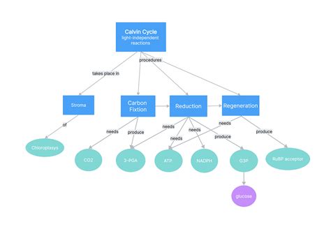 CalvinCycle_NyssSukesuke Calvin Cycle