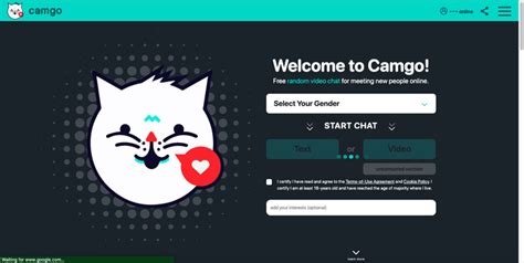 CamGo Cross-Platform Accessibility