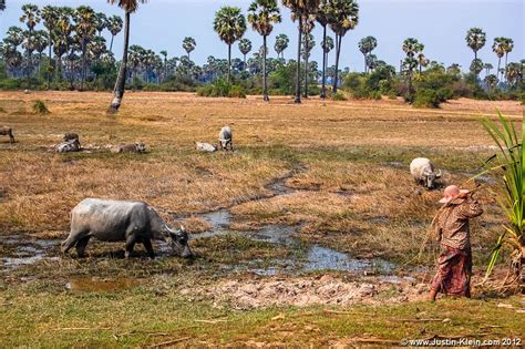 Cambodia Rural Life