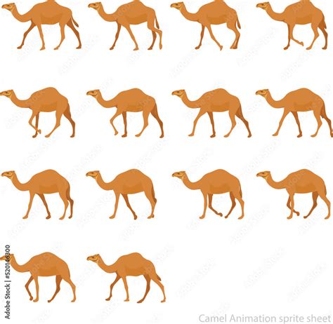 Experience the Magic of Camel By Camel Animation: A Journey Through the Desert