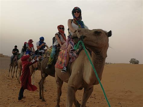 Camel Experience
