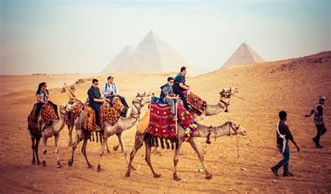 Camel Ride Cairo