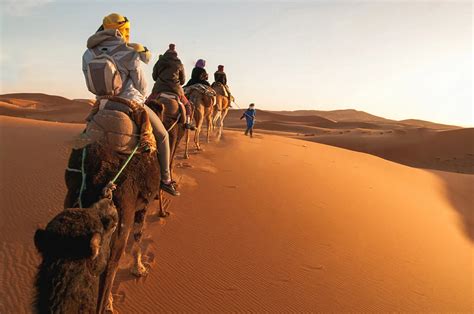 Camel Ride Challenges