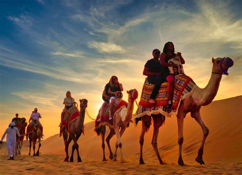 Camel Ride Dubai