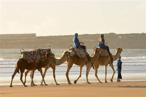 Camel Ride Essaouira Beach
