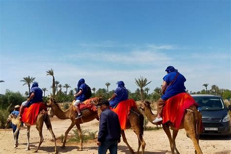 Camel Ride Expectations
