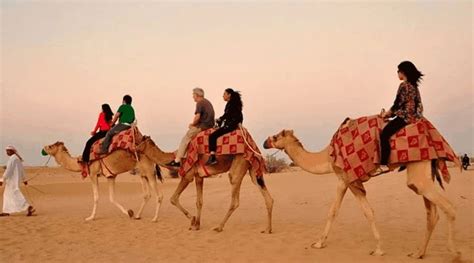 Camel Ride Safety Tips