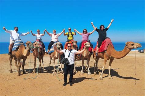 Camel Ride Tangier