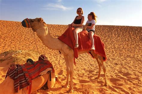 Camel Ride and Sandboarding
