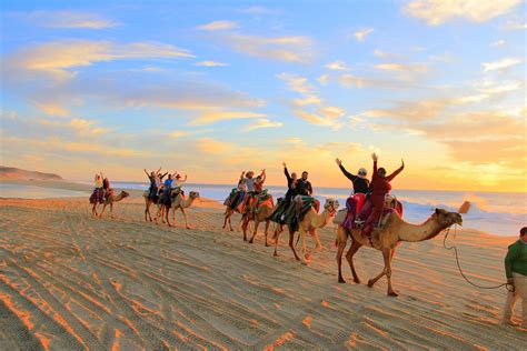 Camel Ride on Beach