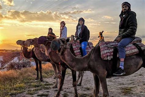 Camel Tour Expectations