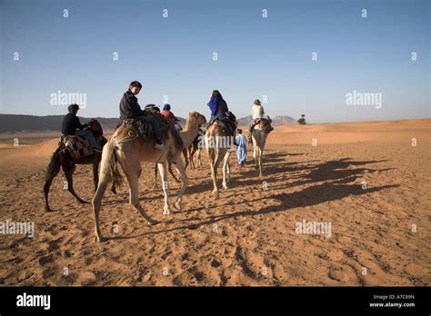 Camel Trek Zagora