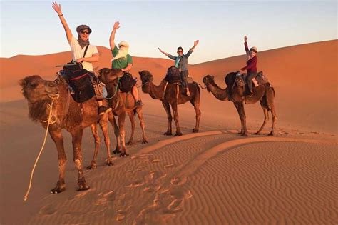Camel Trek in Merzouga