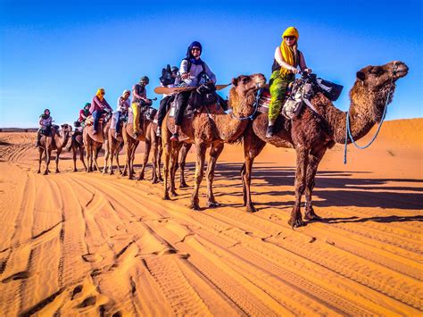 Camel Trekking Desert