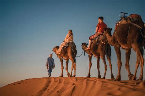 Camel trekking Merzouga