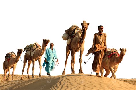 Camels and Guides